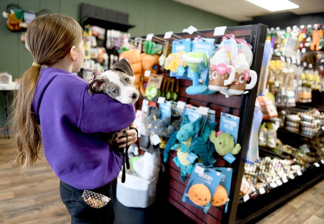 Klara Harkness, 11, of Jackson Township, shops with puppy Harley at The Paw Pad Pet Boutique in the Lake Cable Shopping Center during K9 Easter Egg Hunt activities.