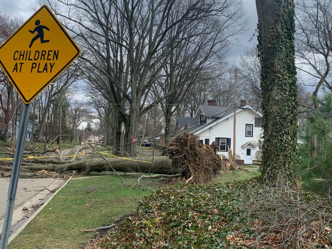 A storm burst ripped through Stark County on Saturday afternoon and downed numerous trees and powerlines, such as this tree on Cordelia Avenue SW in North Canton.